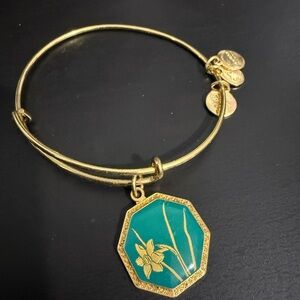 Alex and Ani Gold Bangle Bracelet